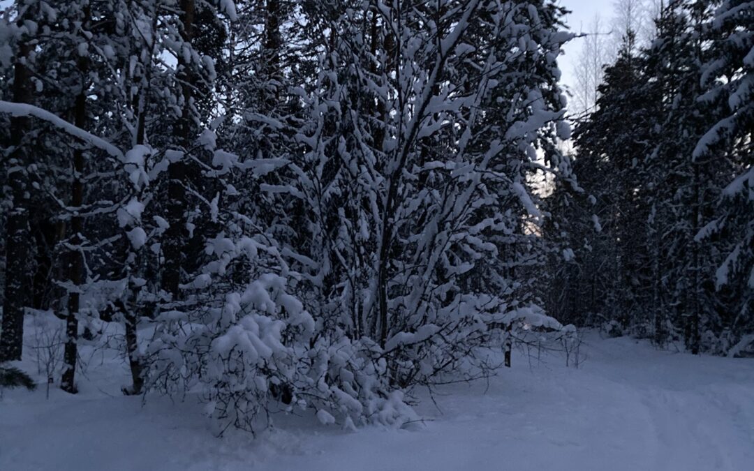 Mielenterveys ja päihteet kiireellisesti päättäjien pöydälle