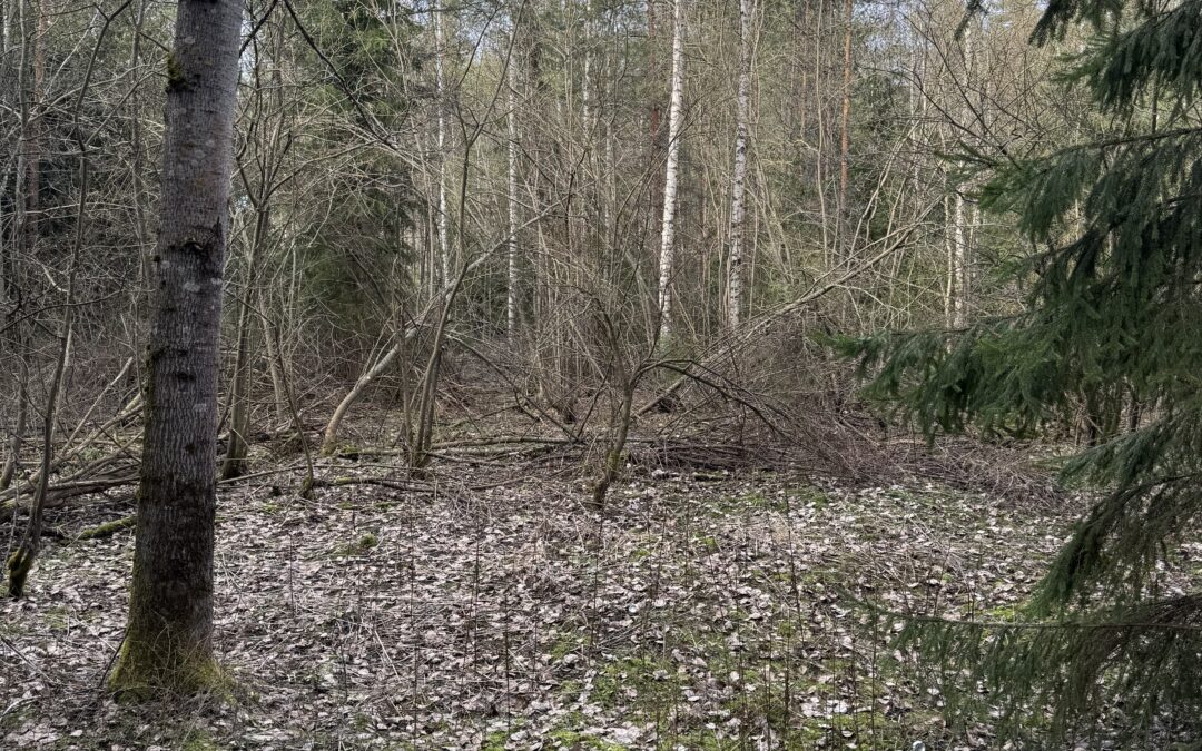 Yhteisöllisyys ei synny itsestään.